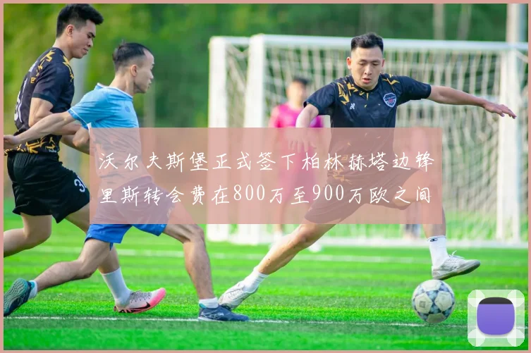 沃尔夫斯堡正式签下柏林赫塔边锋里斯转会费在800万至900万欧之间